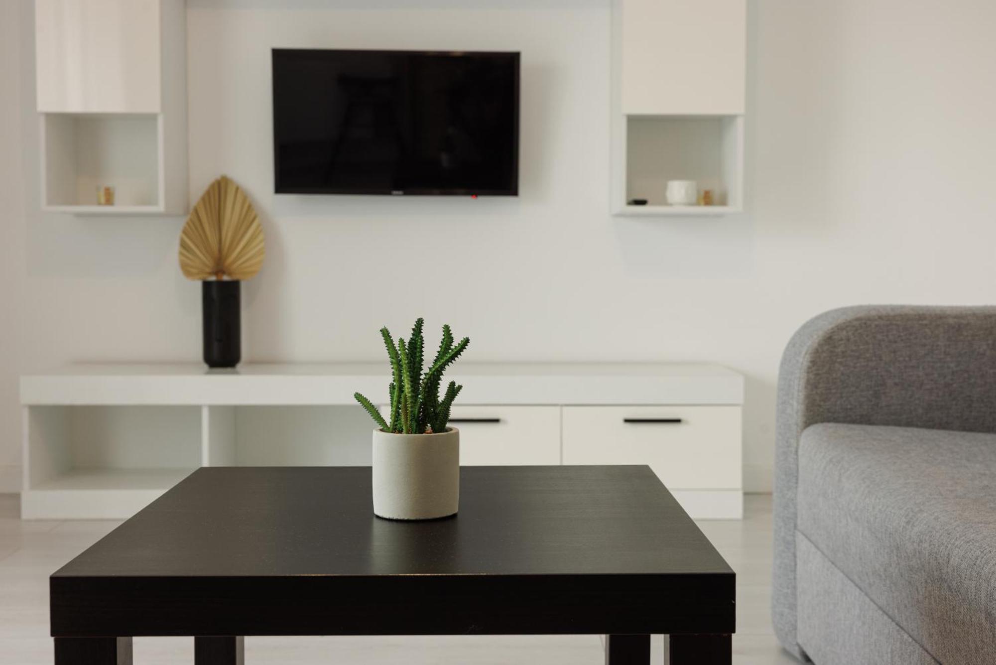 Apartment Runcu Bucharest
